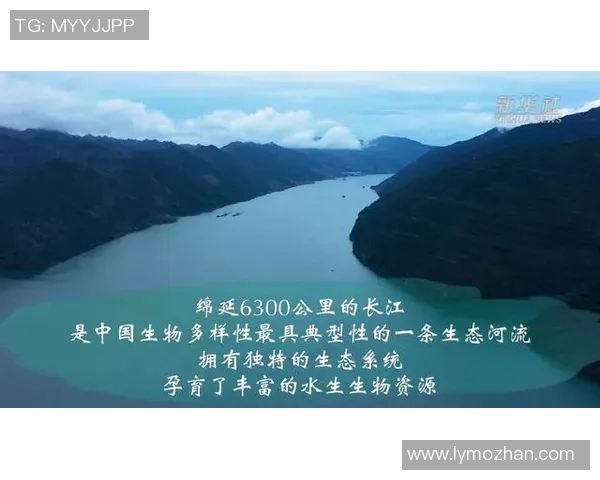 以生态优先为导向推动可持续发展的实践路径与挑战分析