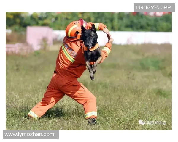 养狗的足球明星们如何在绿茵场上与爱犬共度快乐时光 养狗的足球明星们如何在绿茵场上与爱犬共度快乐时光