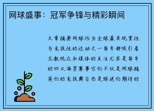 网球盛事：冠军争锋与精彩瞬间